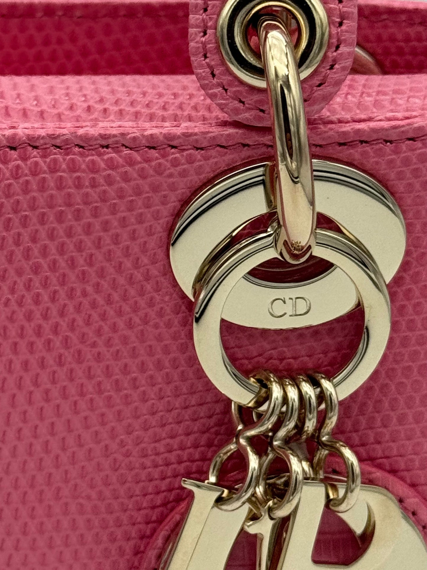 Dior Lady Mini Lizard Rose Des Vents Gold Hardware