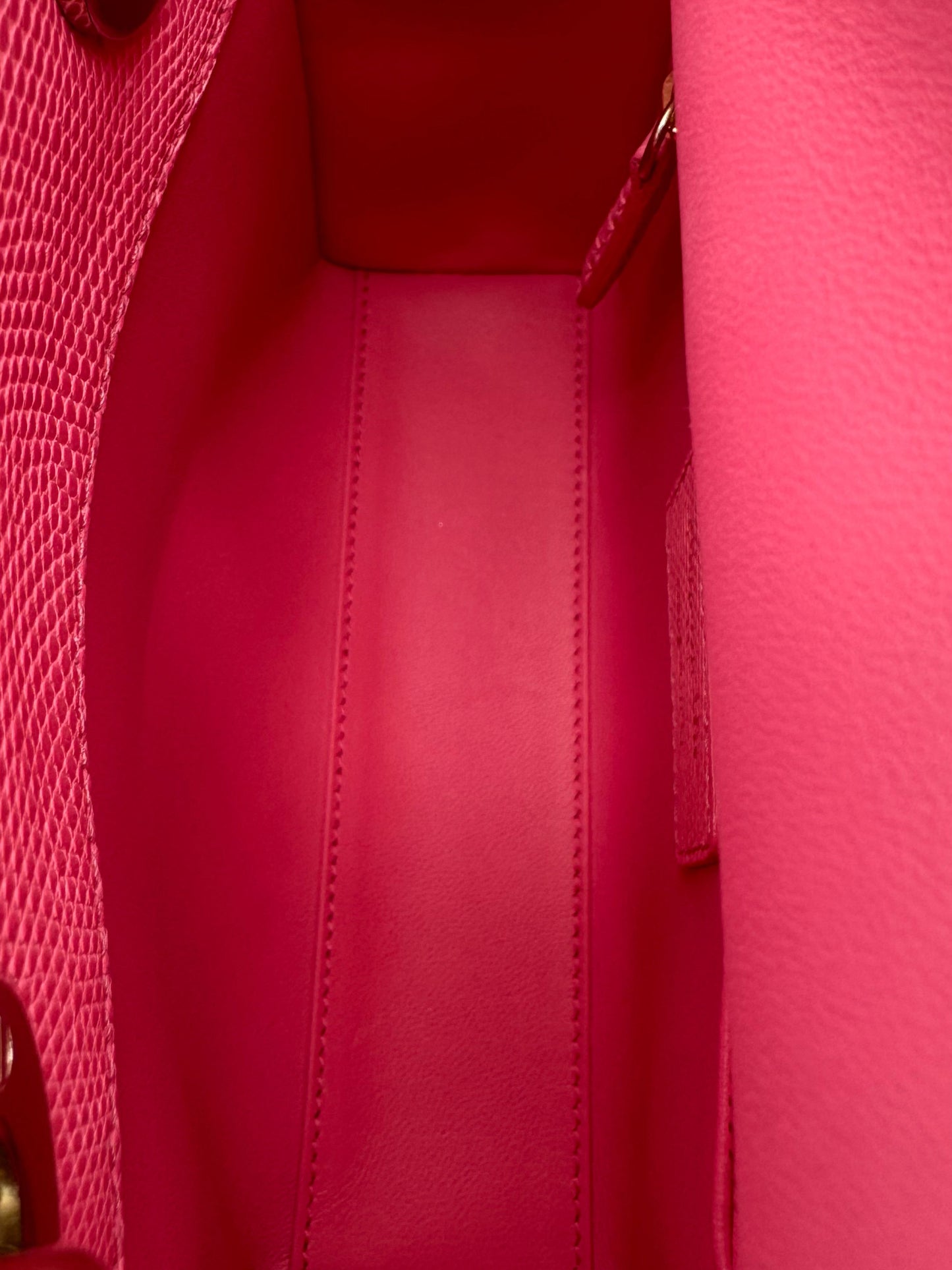 Dior Lady Mini Lizard Rose Des Vents Gold Hardware