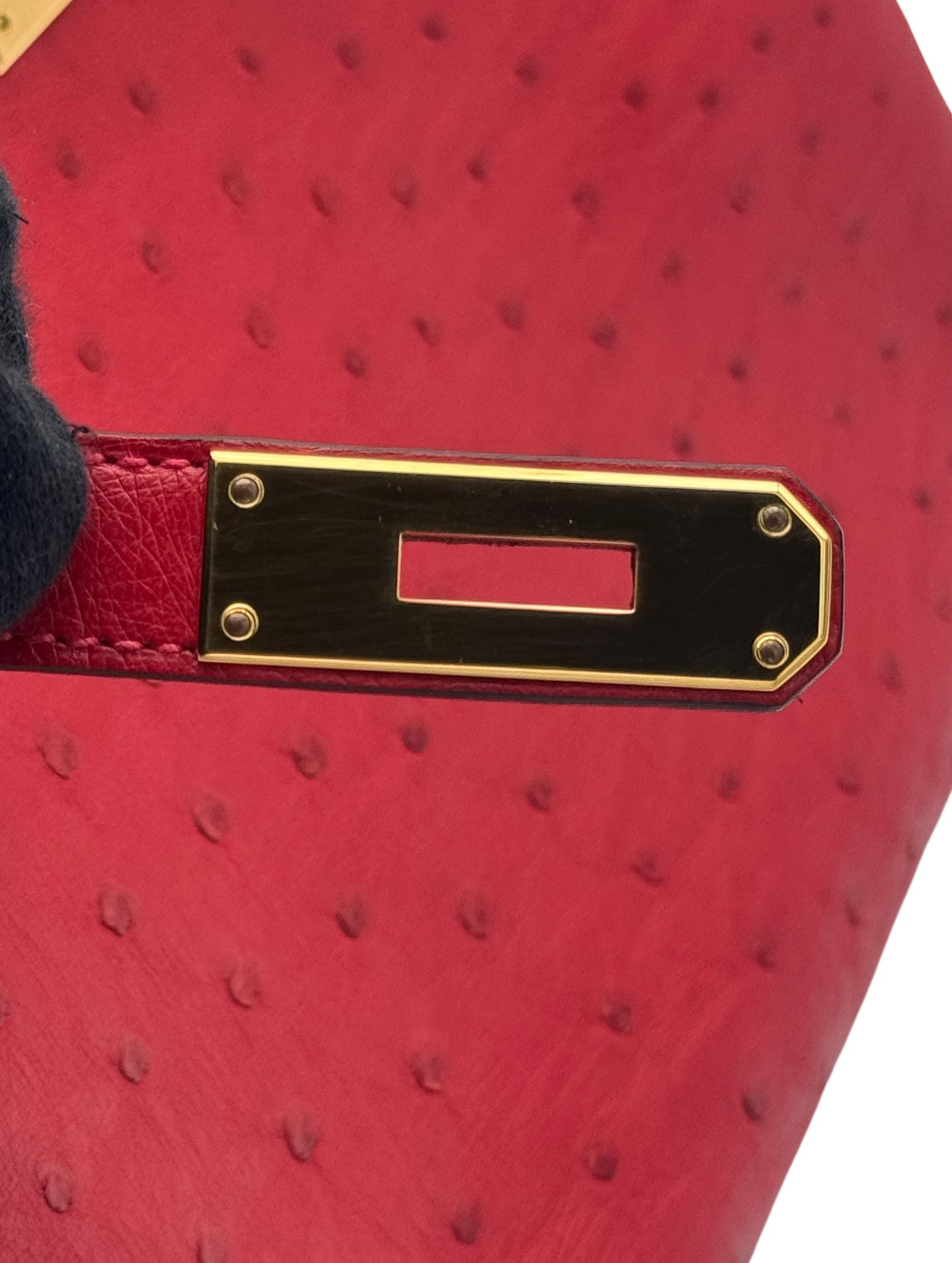 Hermès Birkin 30 Ostrich Bougainvillea