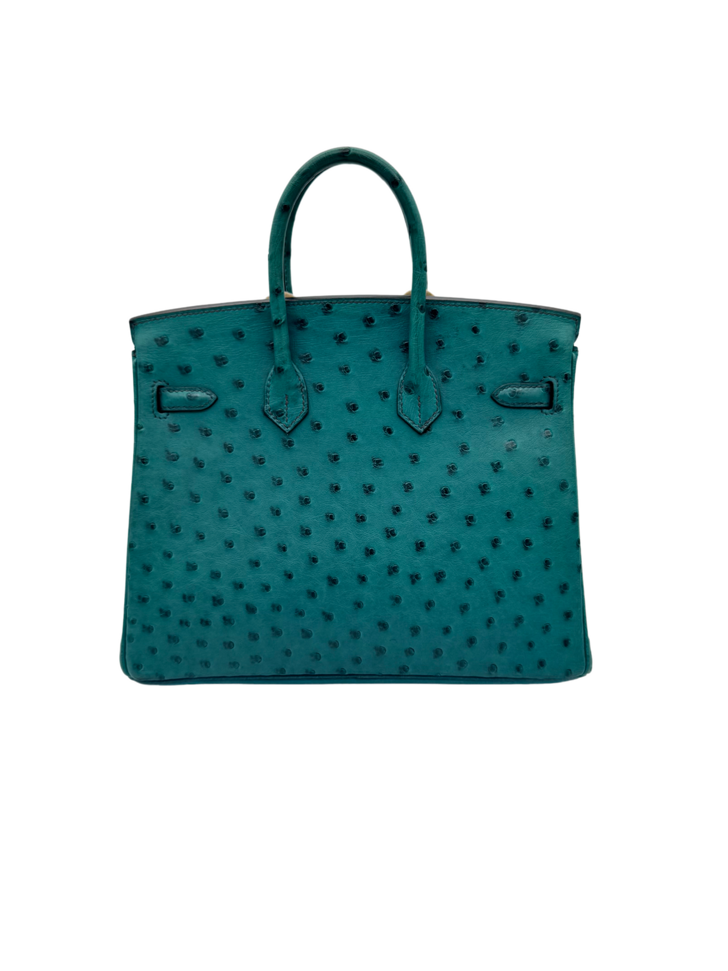 Hermès Birkin 25 Ostrich Vert Verone