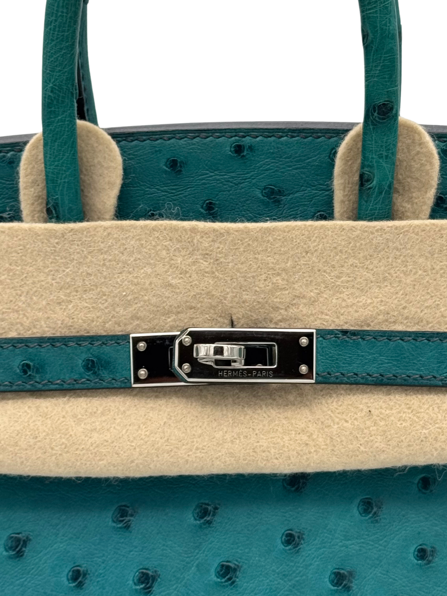 Hermès Birkin 25 Ostrich Vert Verone