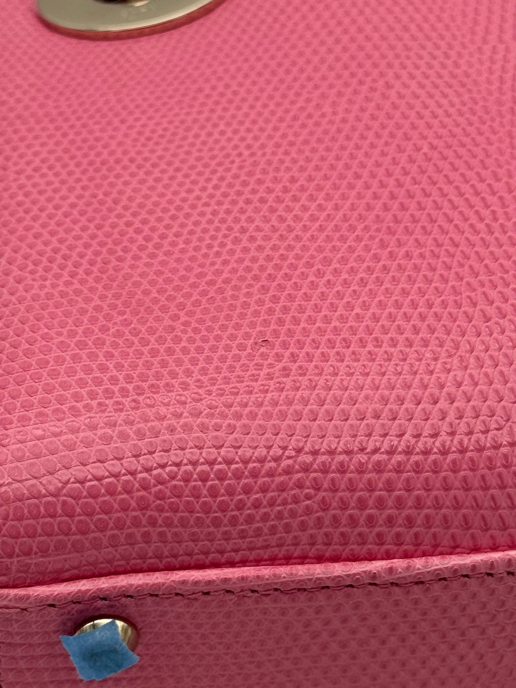 Dior Lady Mini Lizard Rose Des Vents Gold Hardware