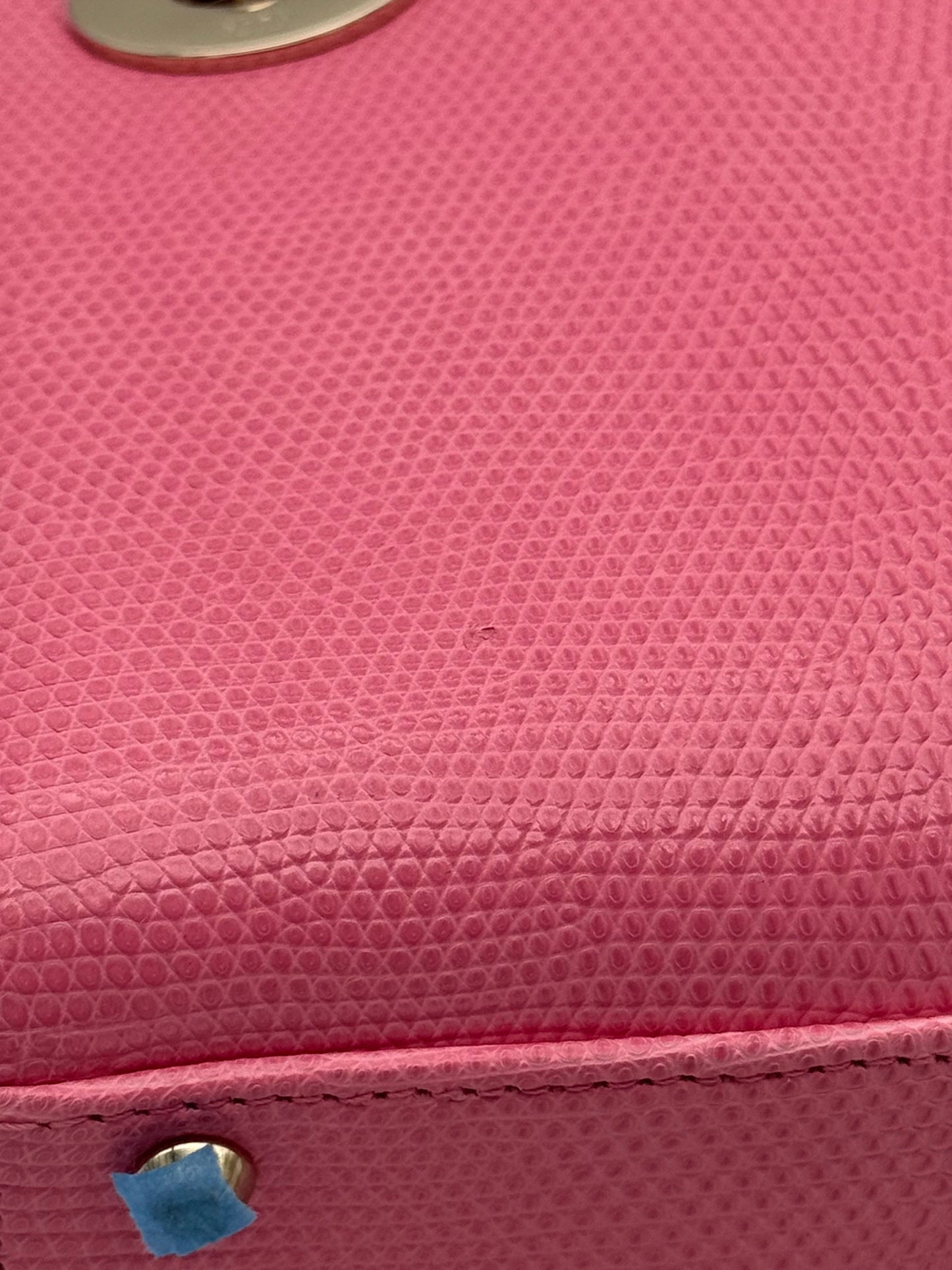 Dior Lady Mini Lizard Rose Des Vents Gold Hardware