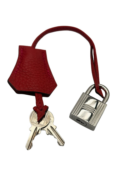 Hermès Birkin 25 Togo Geranium Palladium Hardware