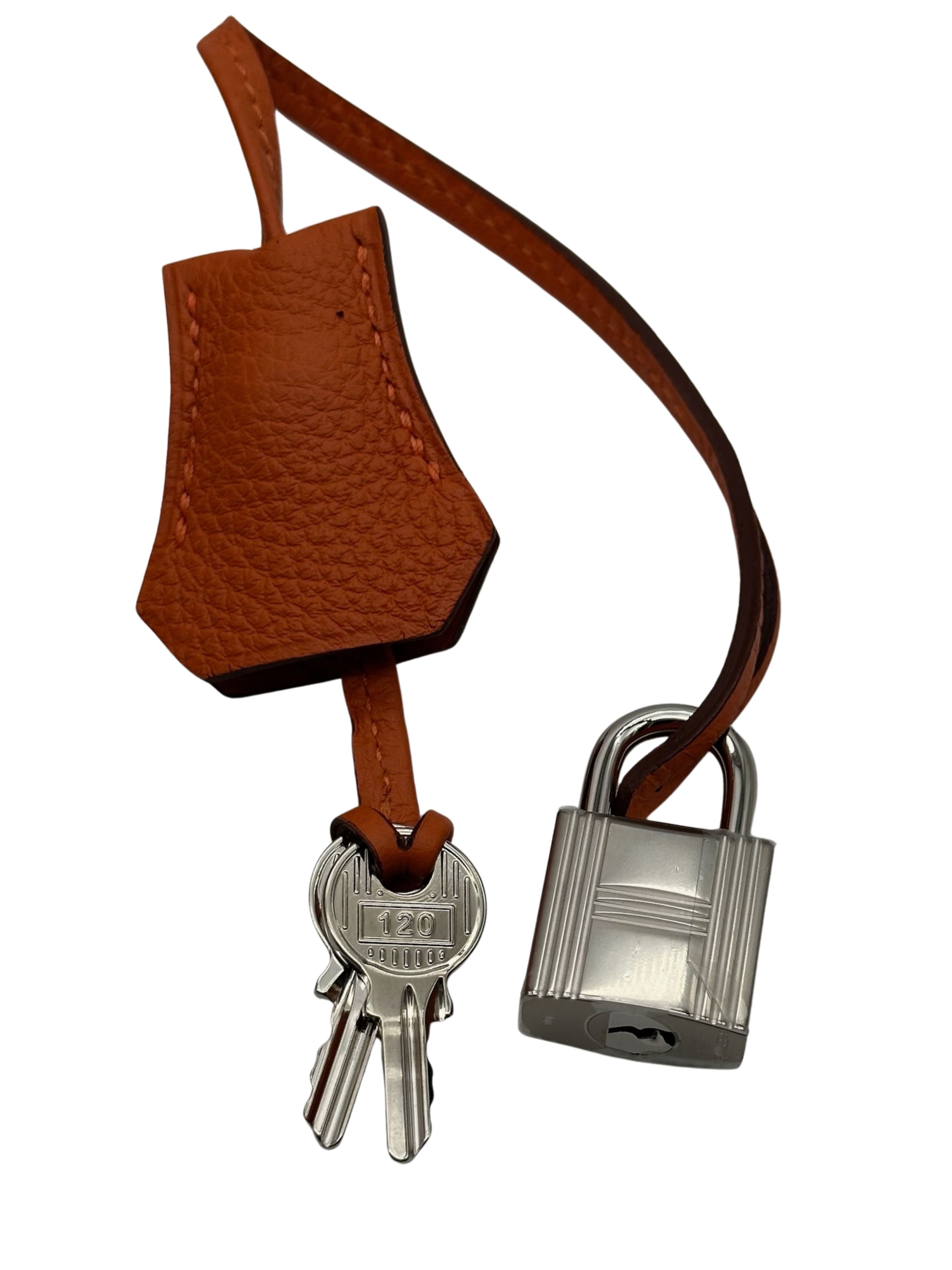 Hermès Birkin 30 Togo Orange Palladium Hardware