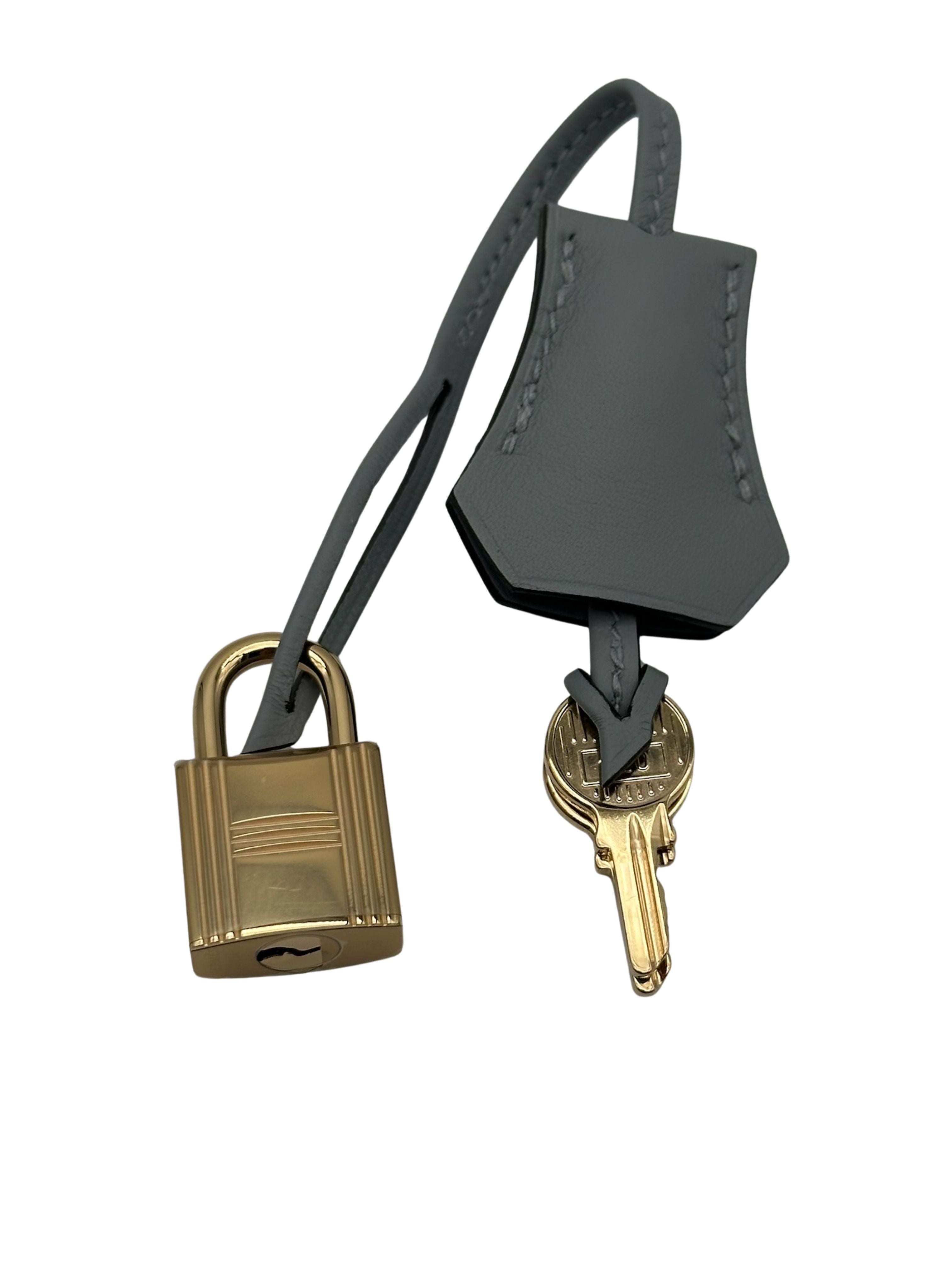 Hermès Birkin 25 Swift Gris Pantin Herraje Champán