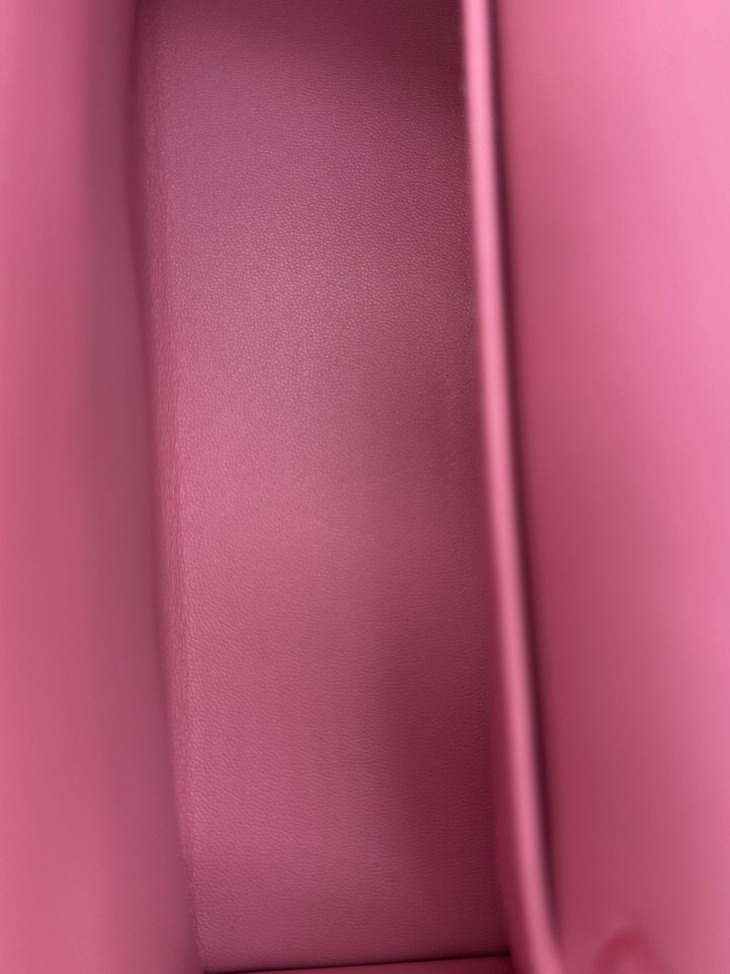 Hermès Kelly Mini Chèvre Rouge Casaque/Pink Palladium Hardware