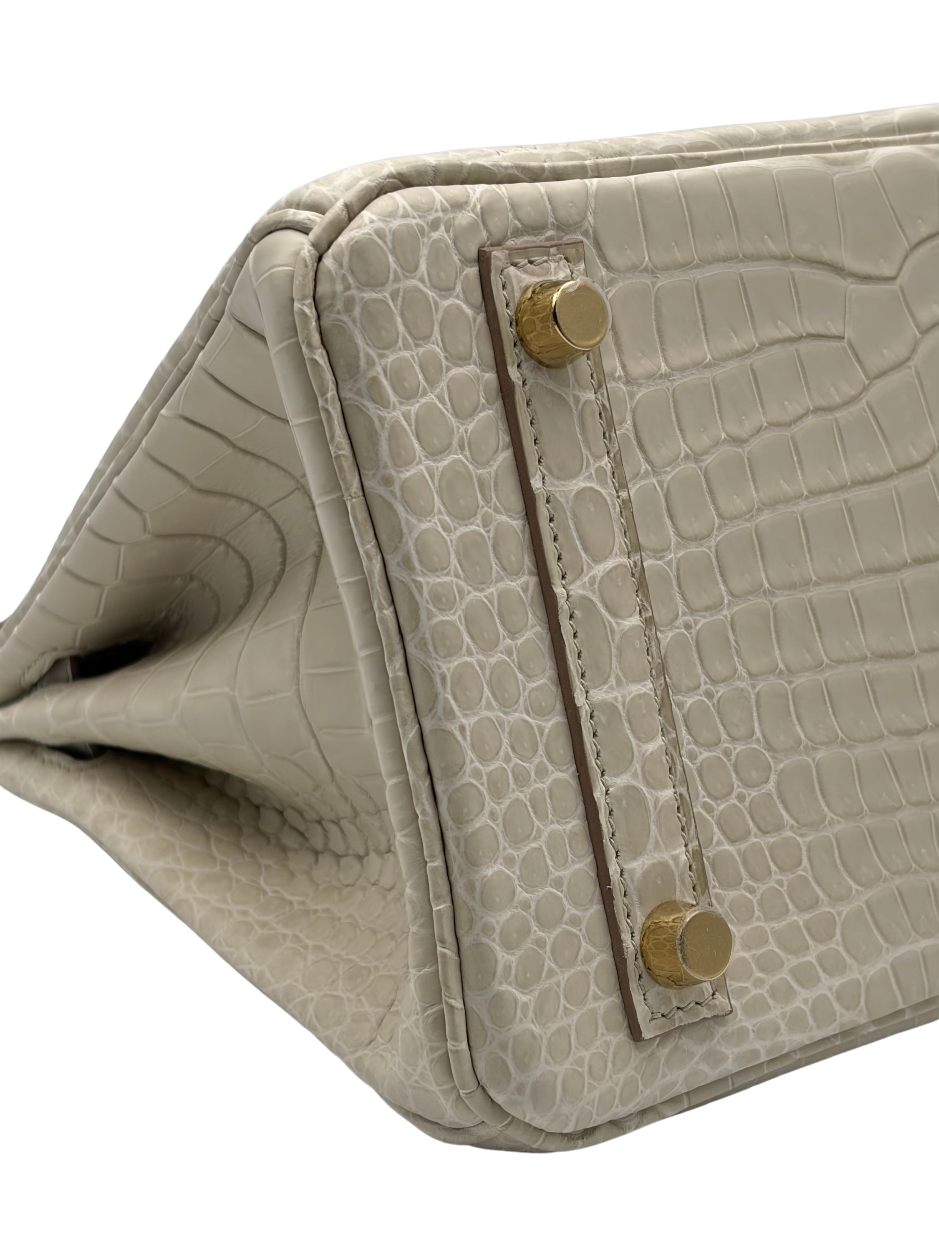 Hermès Birkin 25 Crocodile Porosus Beton Permabrass