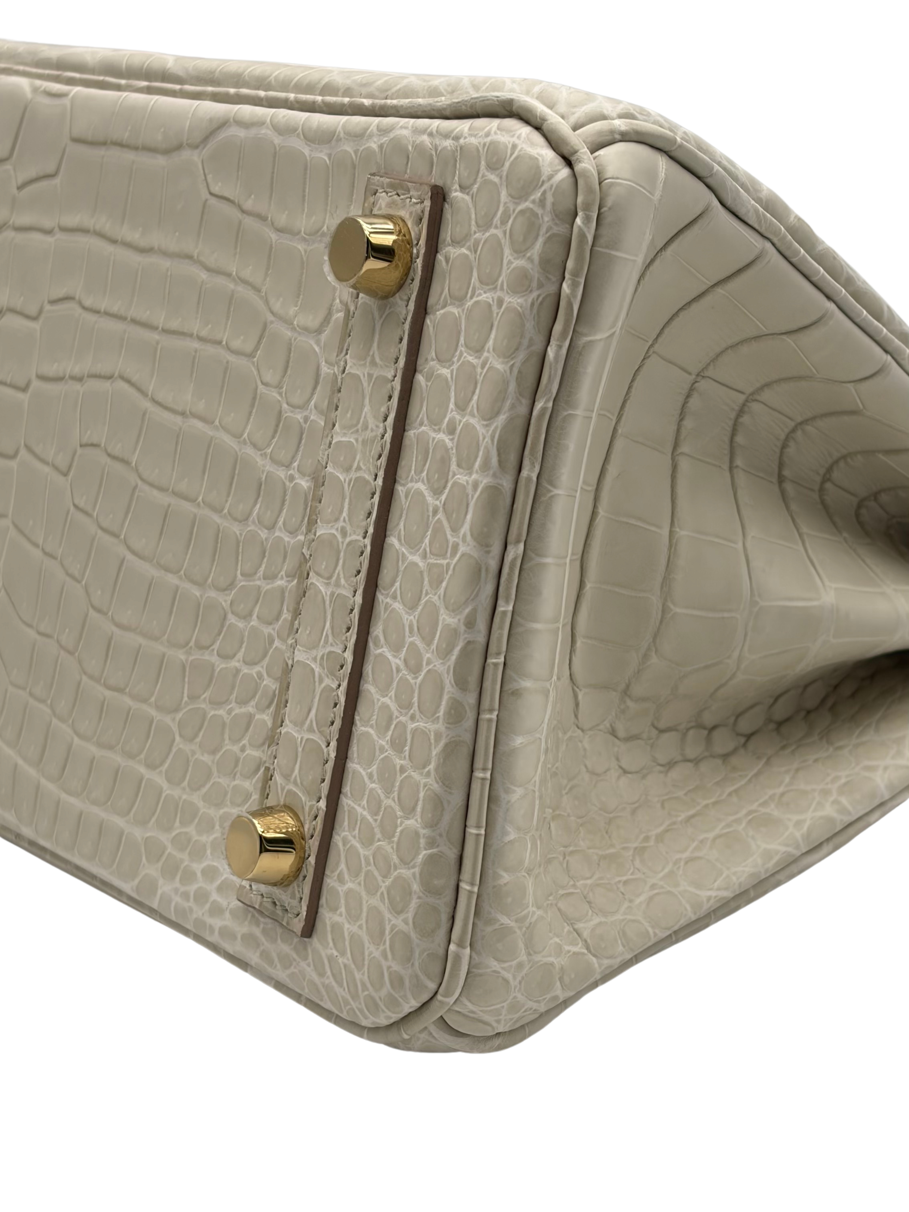 Hermès Birkin 25 Crocodile Porosus Beton Permabrass