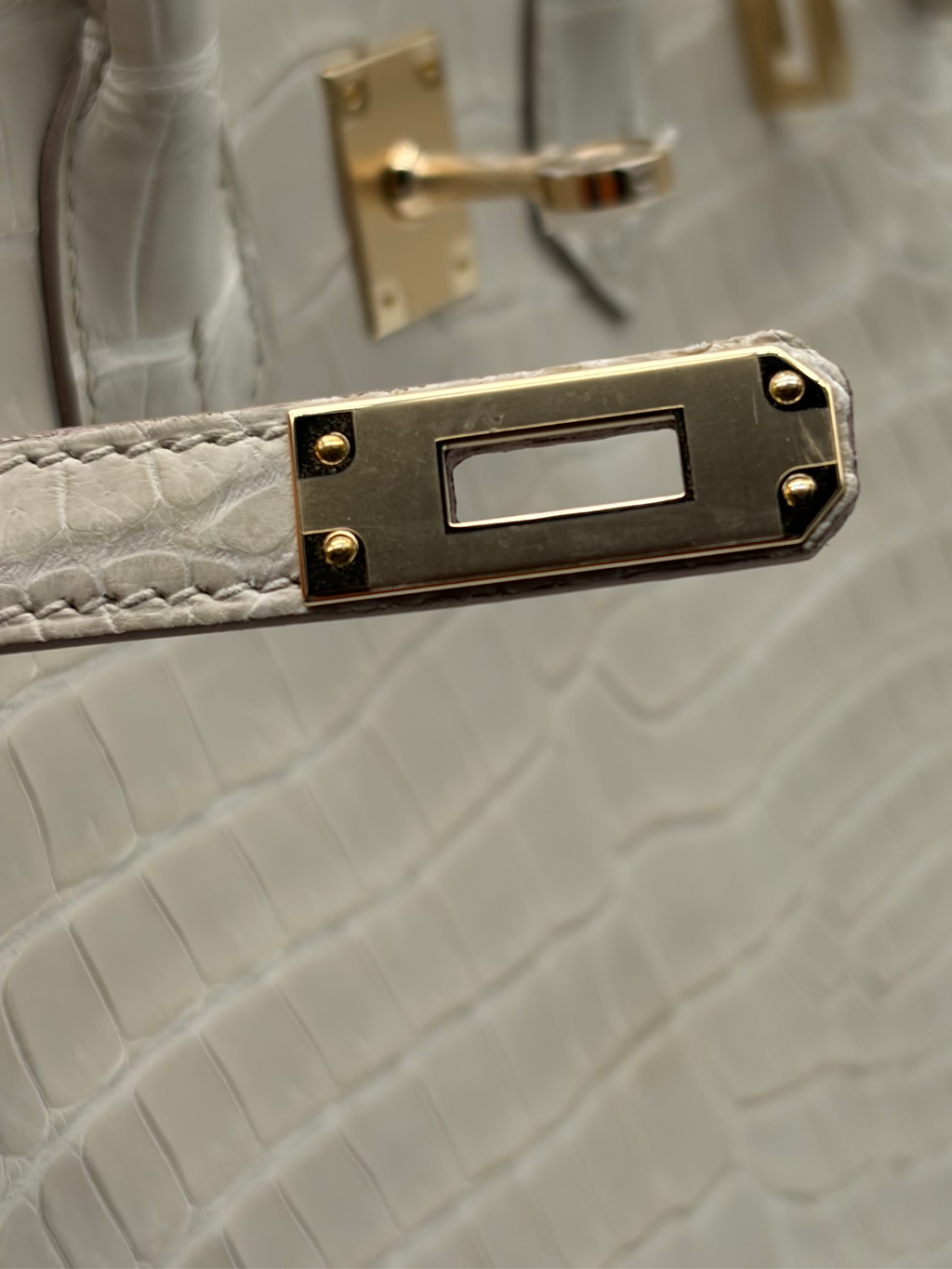 Hermès Birkin 25 Crocodile Porosus Beton Permabrass