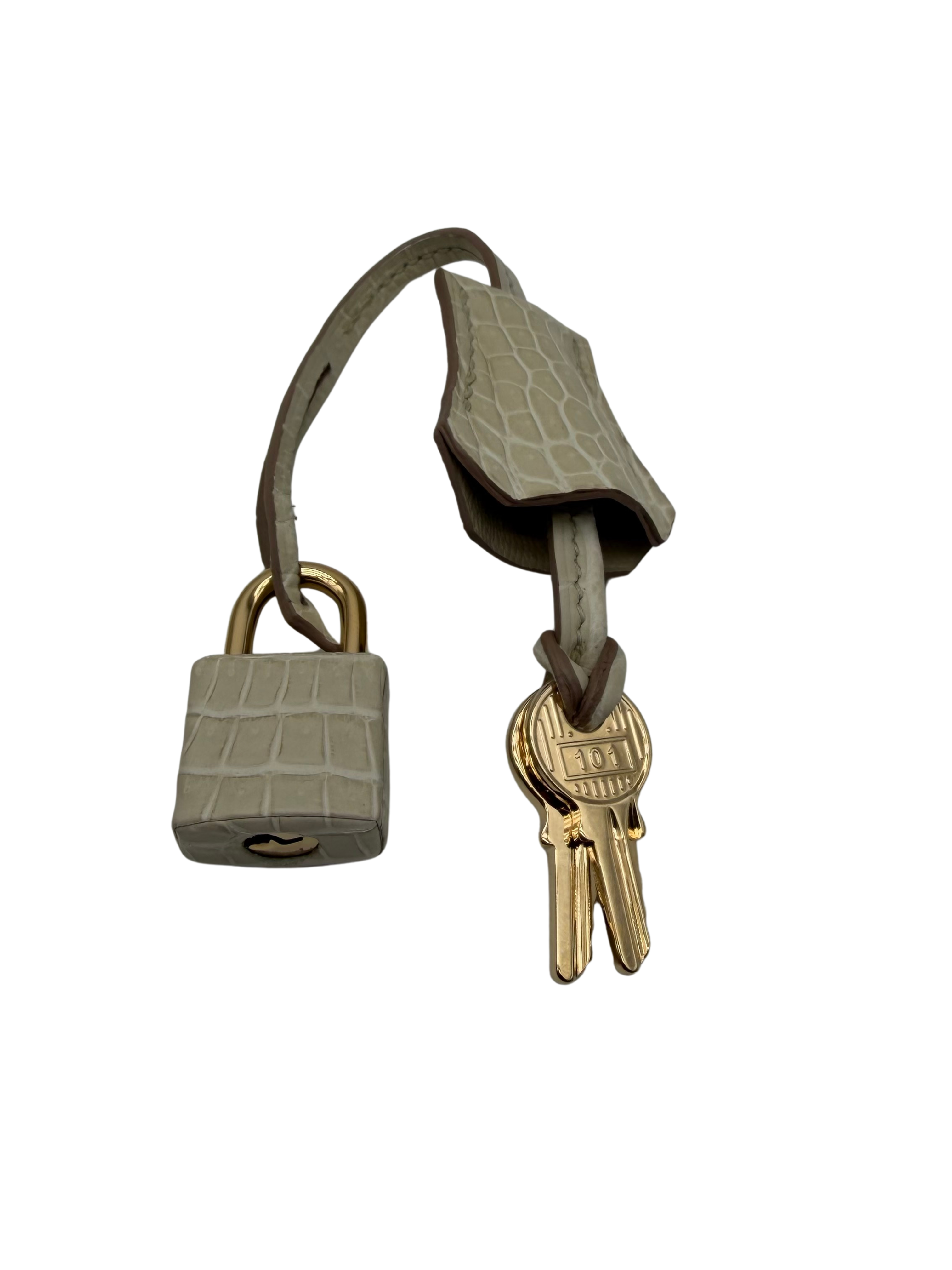 Hermès Birkin 25 Crocodile Porosus Beton Permabrass