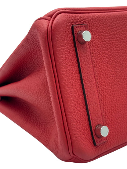 Hermès Birkin 25 Togo Geranium Palladium Hardware