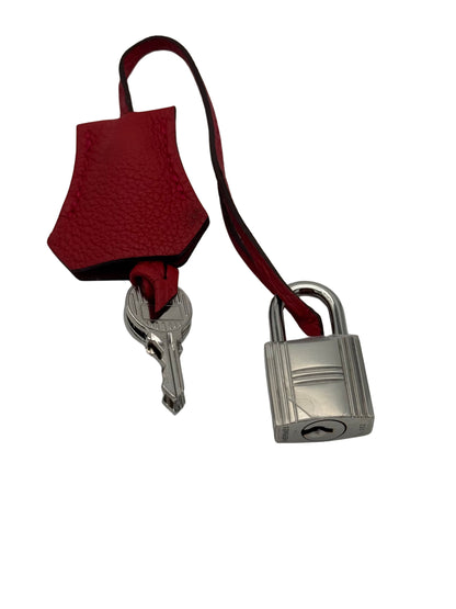 Hermès Birkin 25 Togo Geranium Palladium Hardware