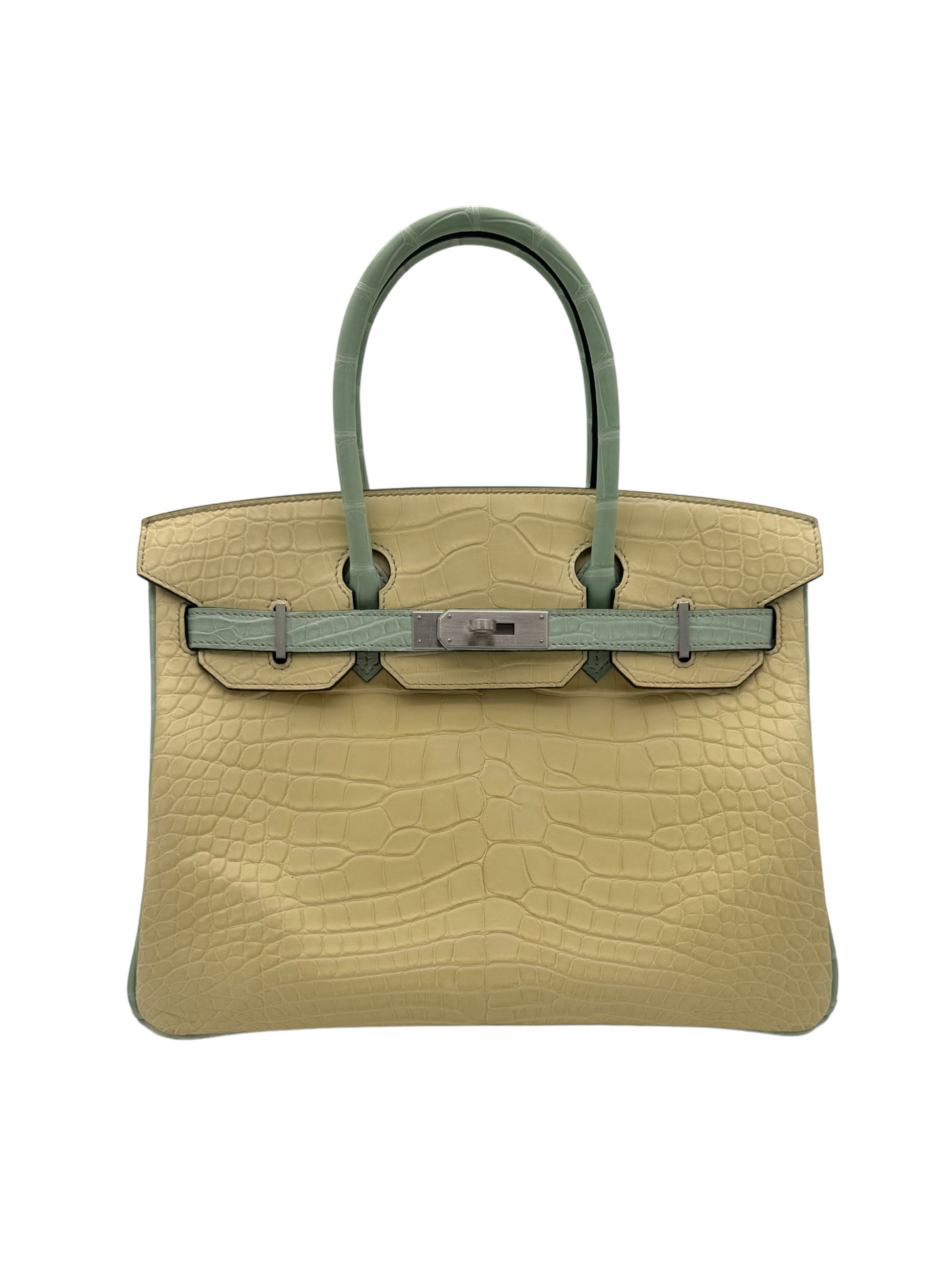 Bag Hermès Birkin 30 HSS Alligator Jaune Poussin Ver D'eau Brushed Palladium Hardware -  Bolso Hermes Horse Shoe Special Order Herraje Paladio Cepillado 2023 marbella puerto Banus Sotogrande 