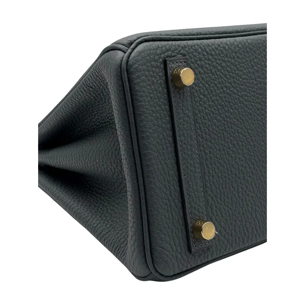 Hermès Birkin 25 Togo Gris Misty Gold Hardware, vista 6