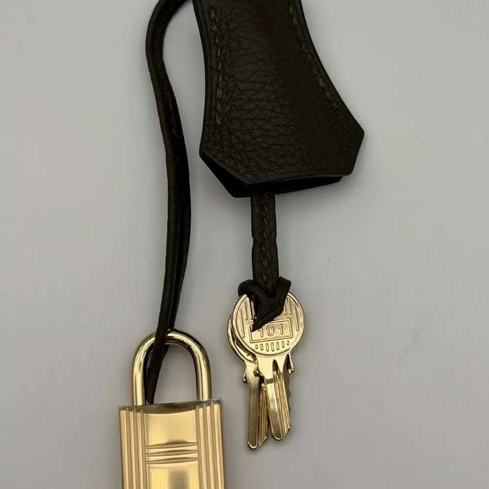 Hermès Birkin 25 Togo Vert Loden Permabrass Hardware, vista 13