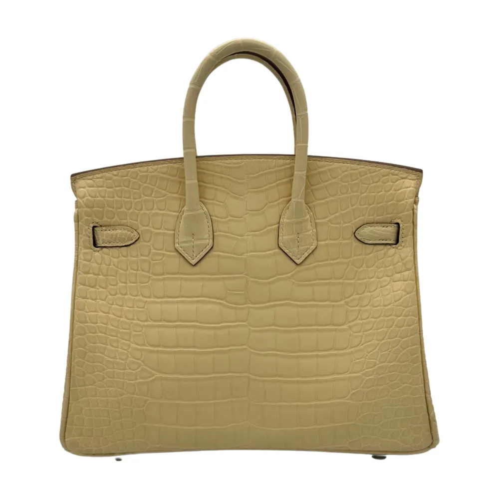 Hermès Birkin 25 Alligator Vanille Matte, vista 3