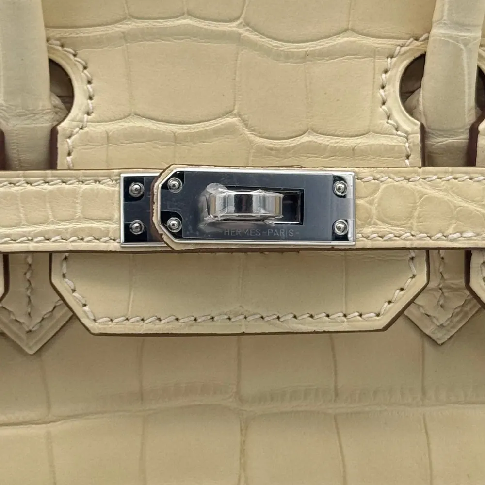 Hermès Birkin 25 Alligator Vanille Matte, vista 5