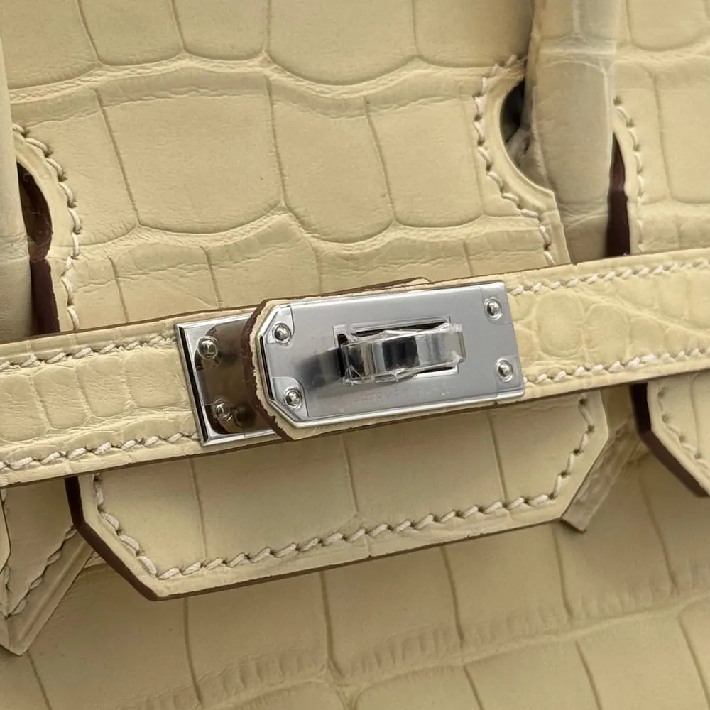 Hermès Birkin 25 Alligator Vanille Matte, vista 6