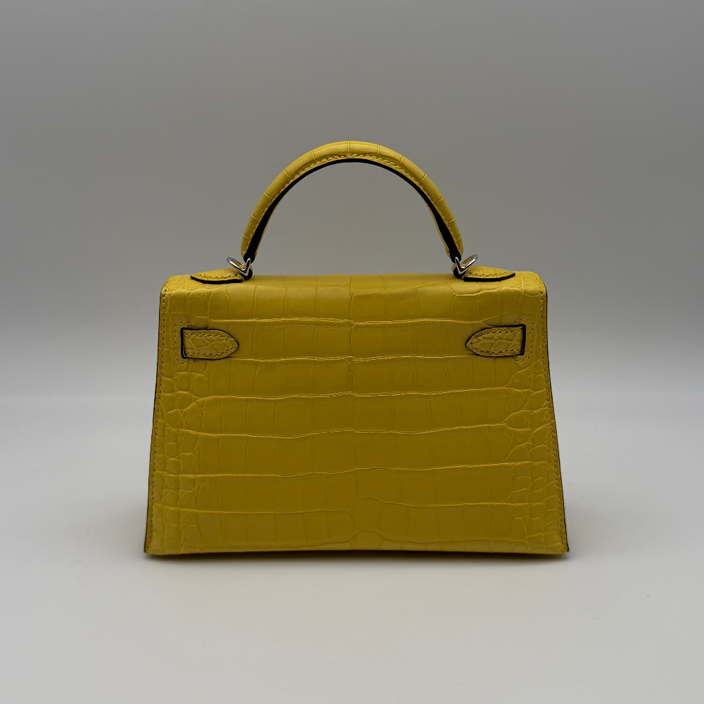 Hermès Kelly Mini Alligator Matte Mimosa Palladium Hardware, vista 3