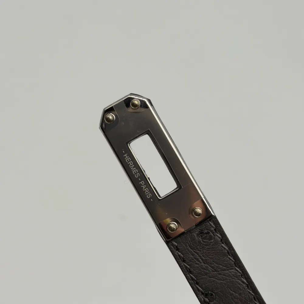 Hermès Kelly Mini Ostrich Gris Meyer / Gris Perle Palladium Hardware, vista 10
