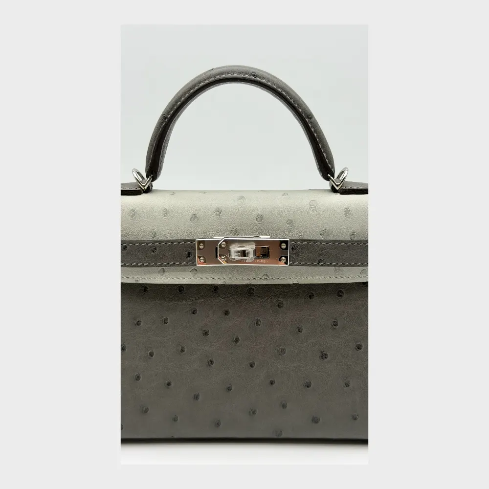 Hermès Kelly Mini Ostrich Gris Meyer / Gris Perle Palladium Hardware, vista 7