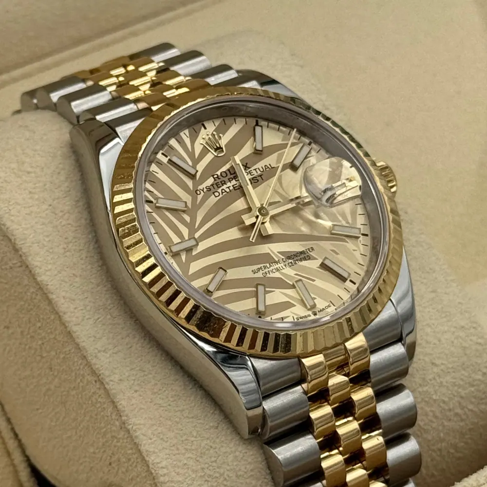 Rolex Datejust 36mm Steel/Gold Palm Dial, vista 2